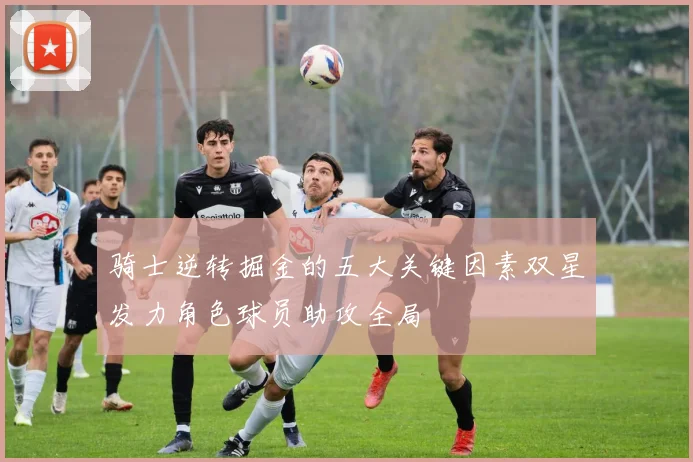 骑士逆转掘金的五大关键因素双星发力角色球员助攻全局